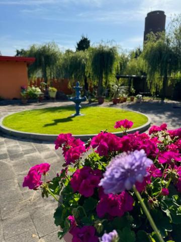 Villa Le Jardin Oude Pekela Exteriör bild